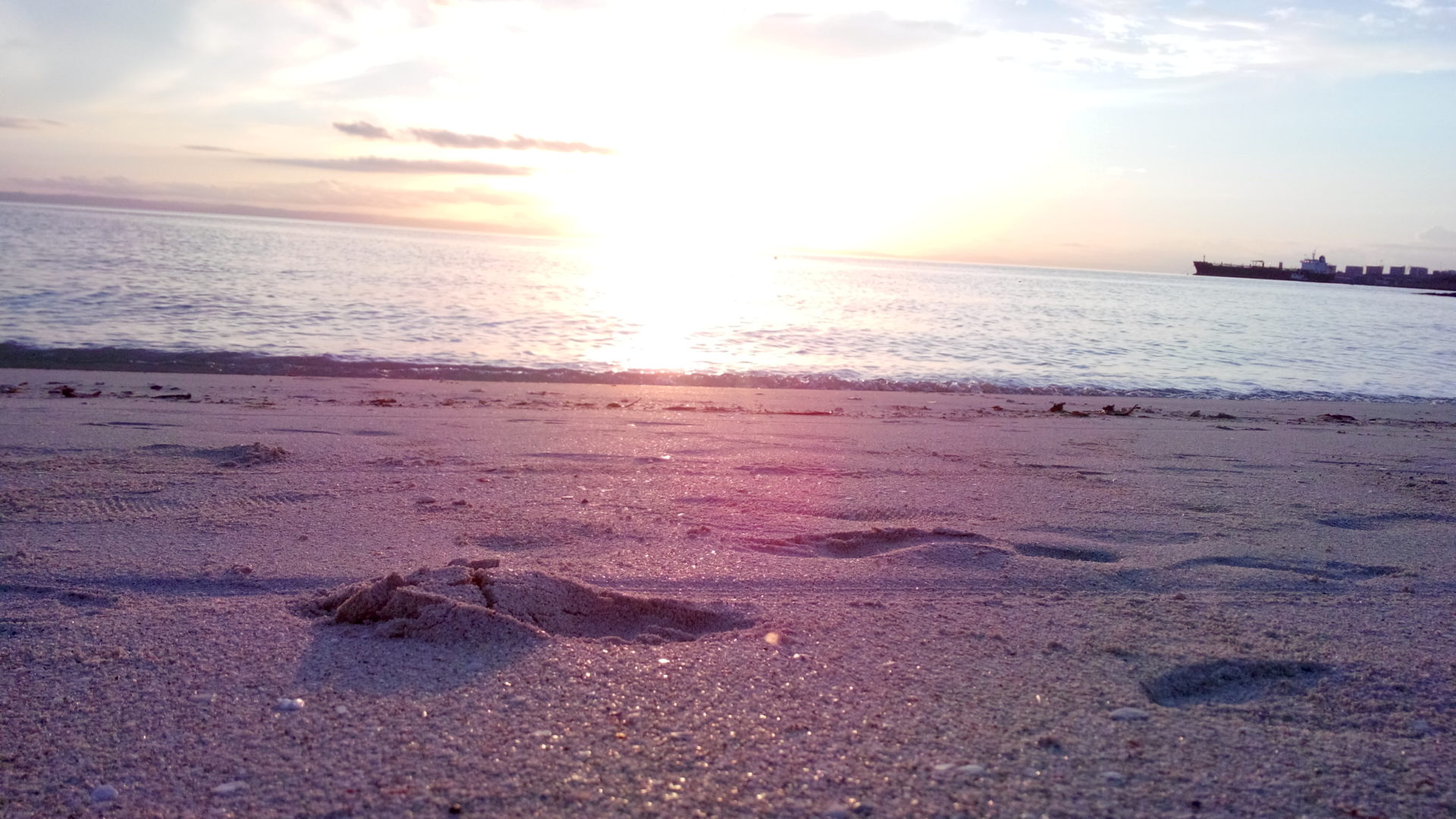 Vive Baja Sur